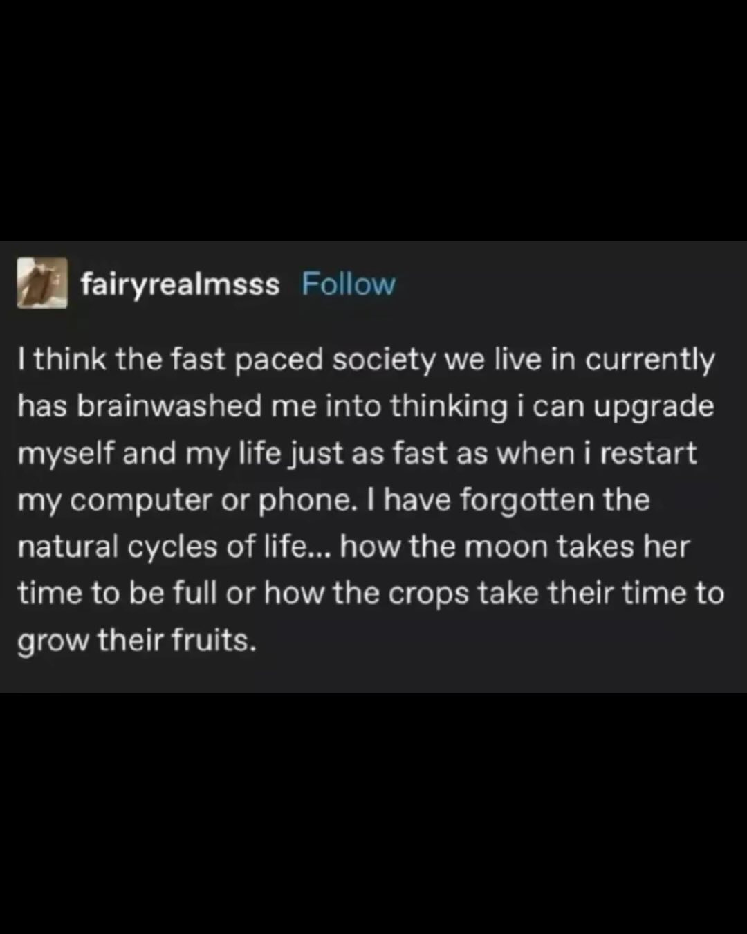 Thumbnail of p-dcvcwdwszo7-edc7b525ede448d6 4