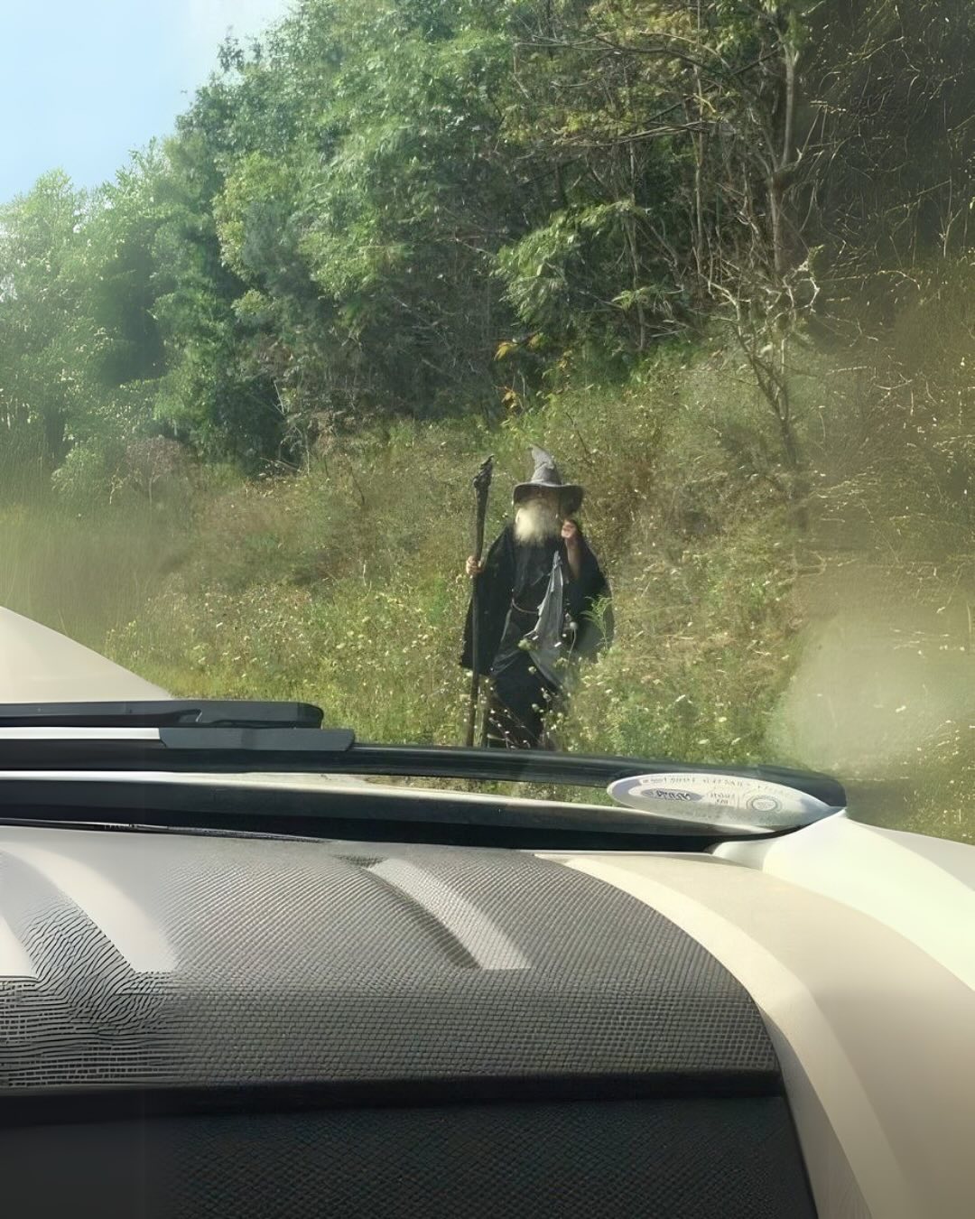 Thumbnail of p-dcvcwdwszo7-edc7b525ede448d6 7