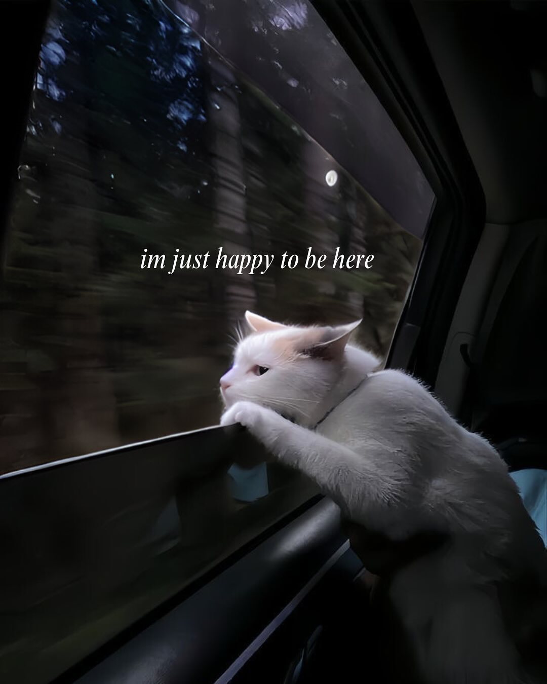 Thumbnail of p-dcvcwdwszo7-edc7b525ede448d6 9