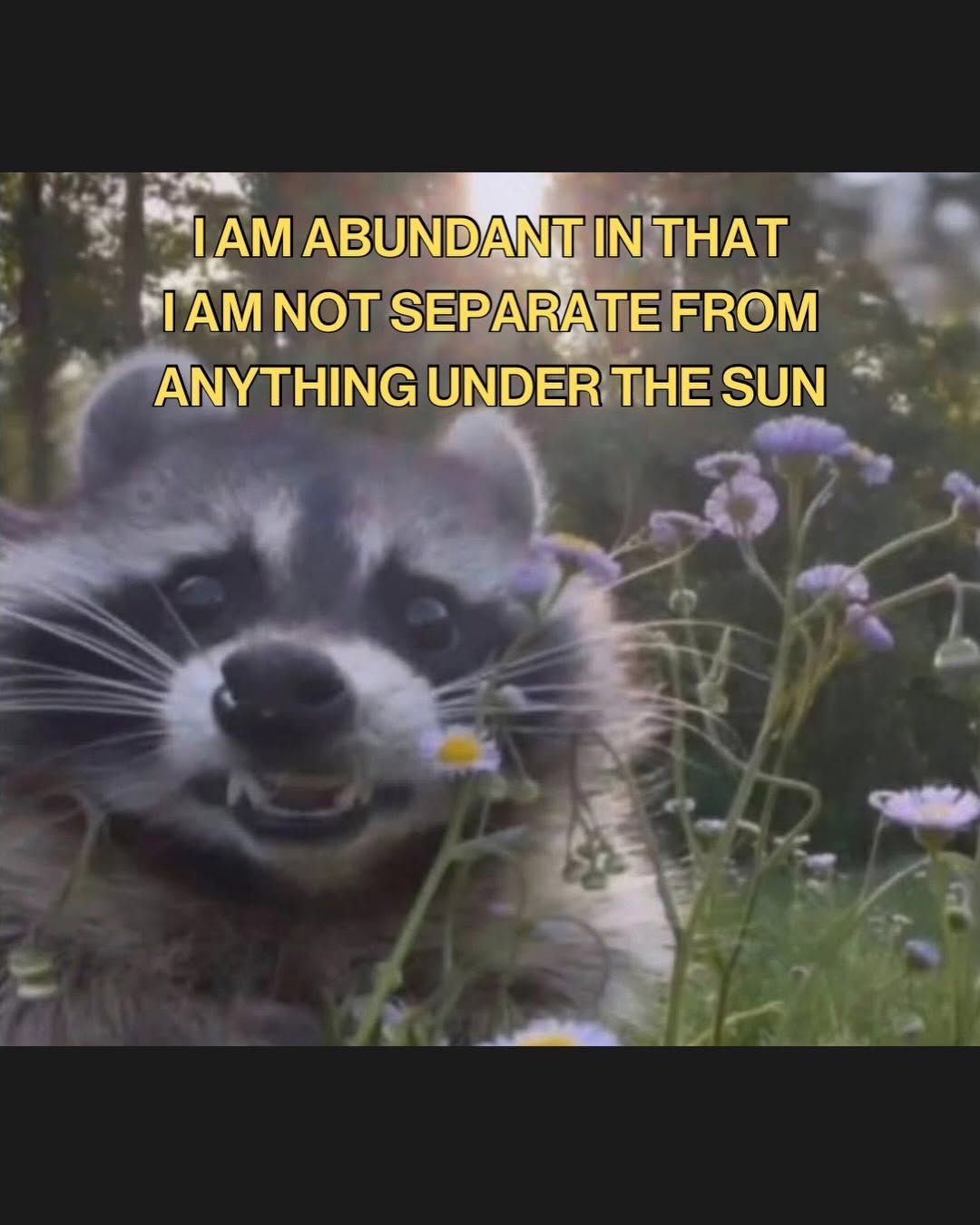 Thumbnail of www-instagram-com-p-dvzkwsyeban 1