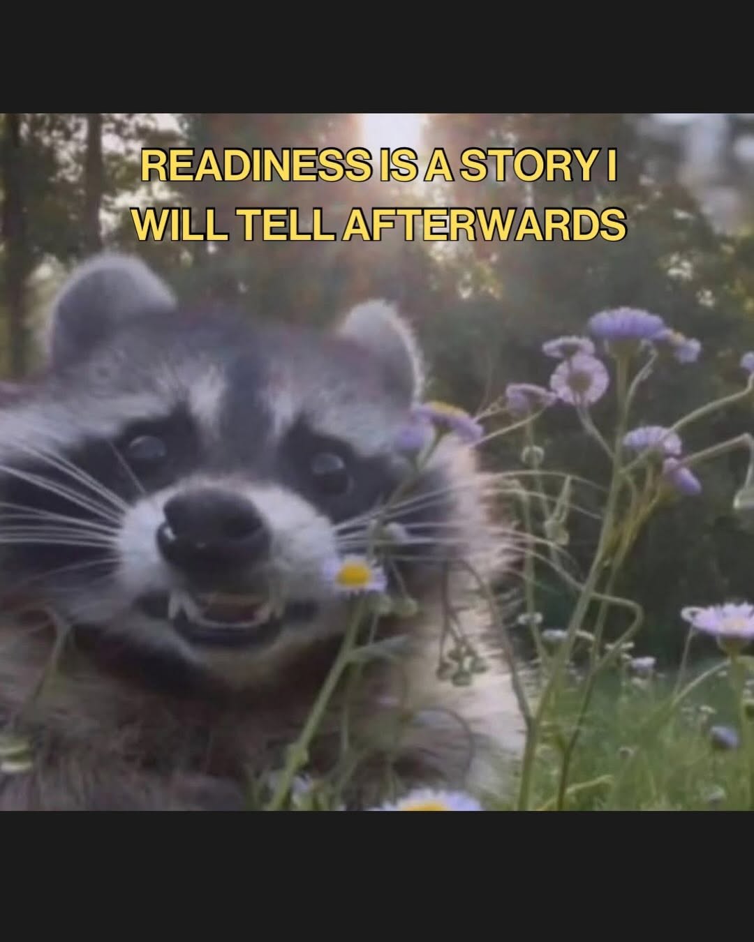 Thumbnail of www-instagram-com-p-dvzkwsyeban 3