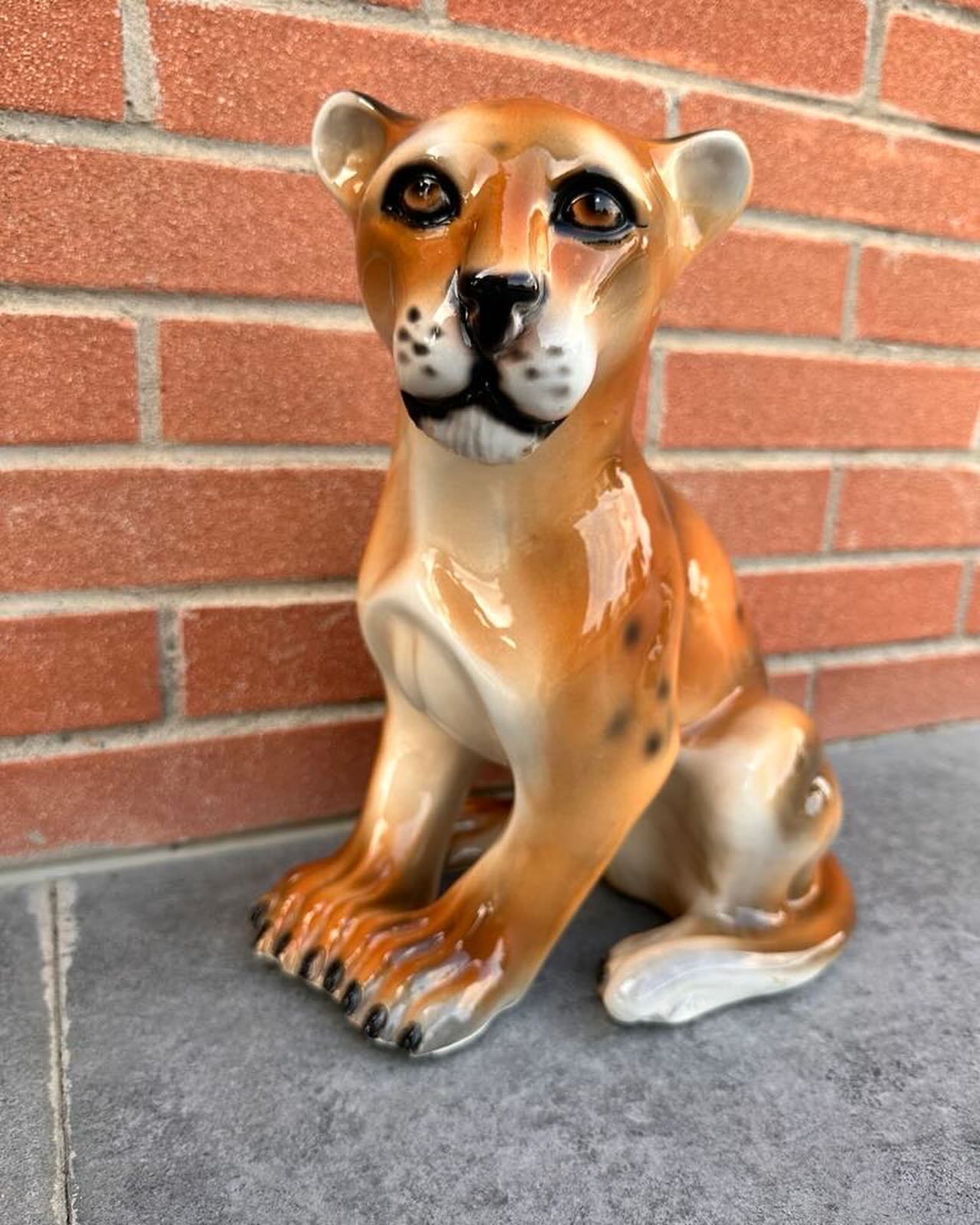 Thumbnail of p-dayqqsdidve-f4dfe550767348b2 1