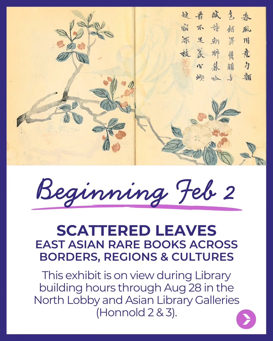 Thumbnail of instagram-f74a9a0e948c4066 1