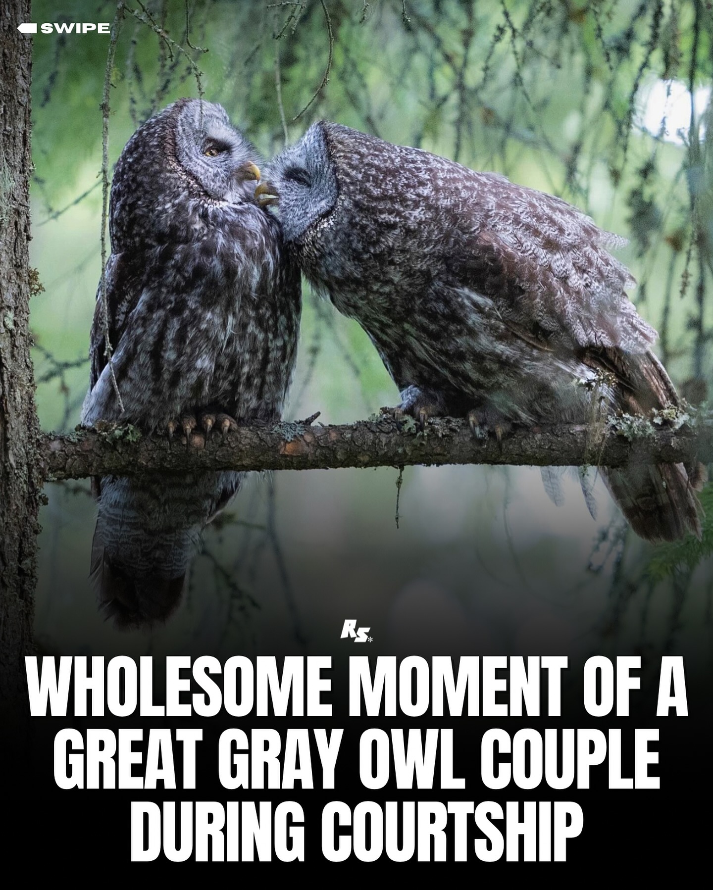 Thumbnail of p-c8gawlsp90q-fb53e1e2f307479b 0