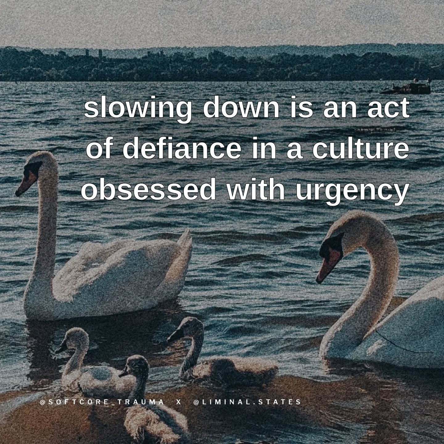 Thumbnail of p-dbjuosjxwdv-fc1ea3d405a14139 4