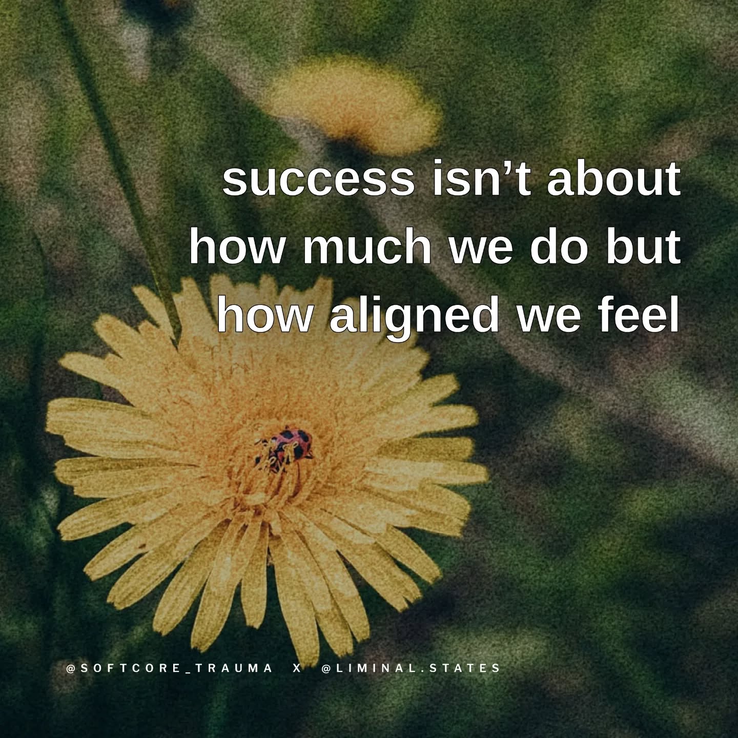 Thumbnail of p-dbjuosjxwdv-fc1ea3d405a14139 5