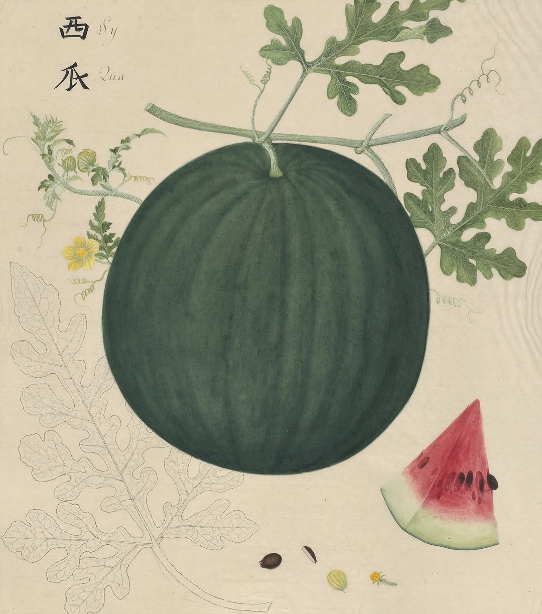 Thumbnail of www-instagram-com-p-dtfyq0gcna2 0