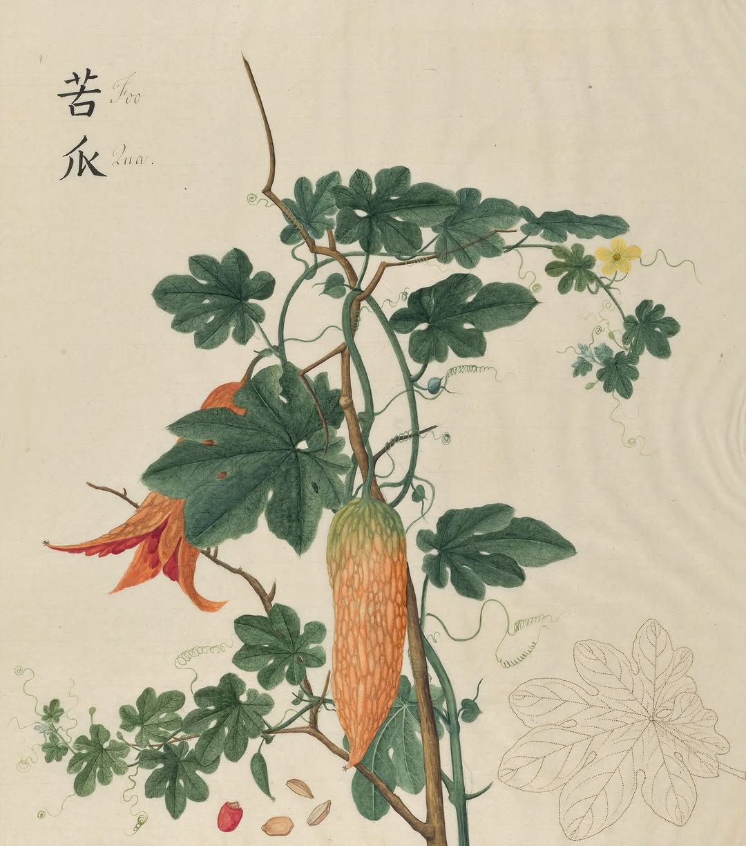 Thumbnail of www-instagram-com-p-dtfyq0gcna2 1