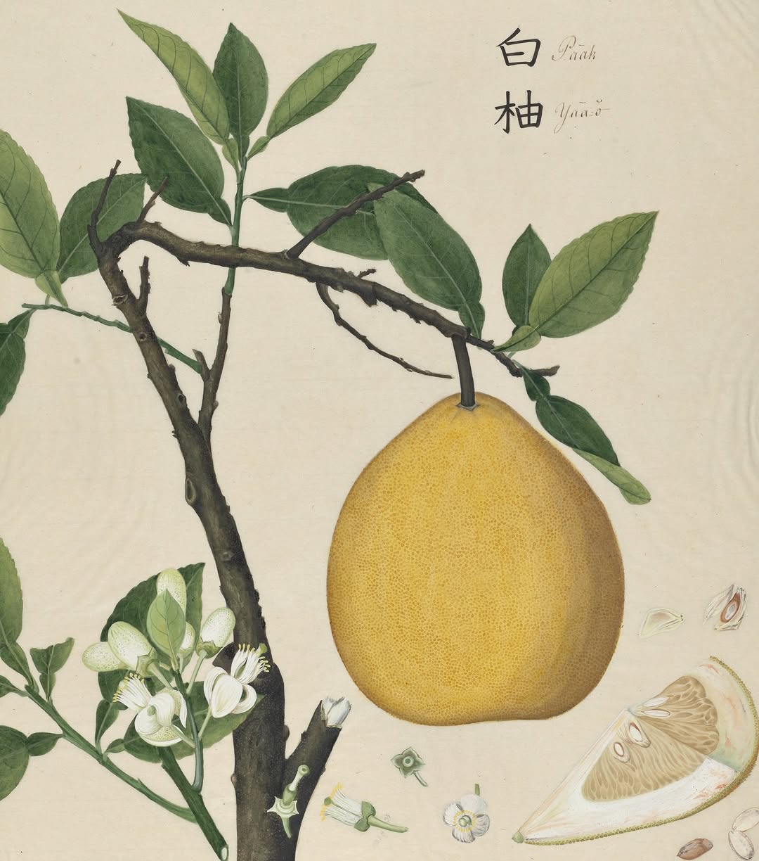 Thumbnail of www-instagram-com-p-dtfyq0gcna2 2