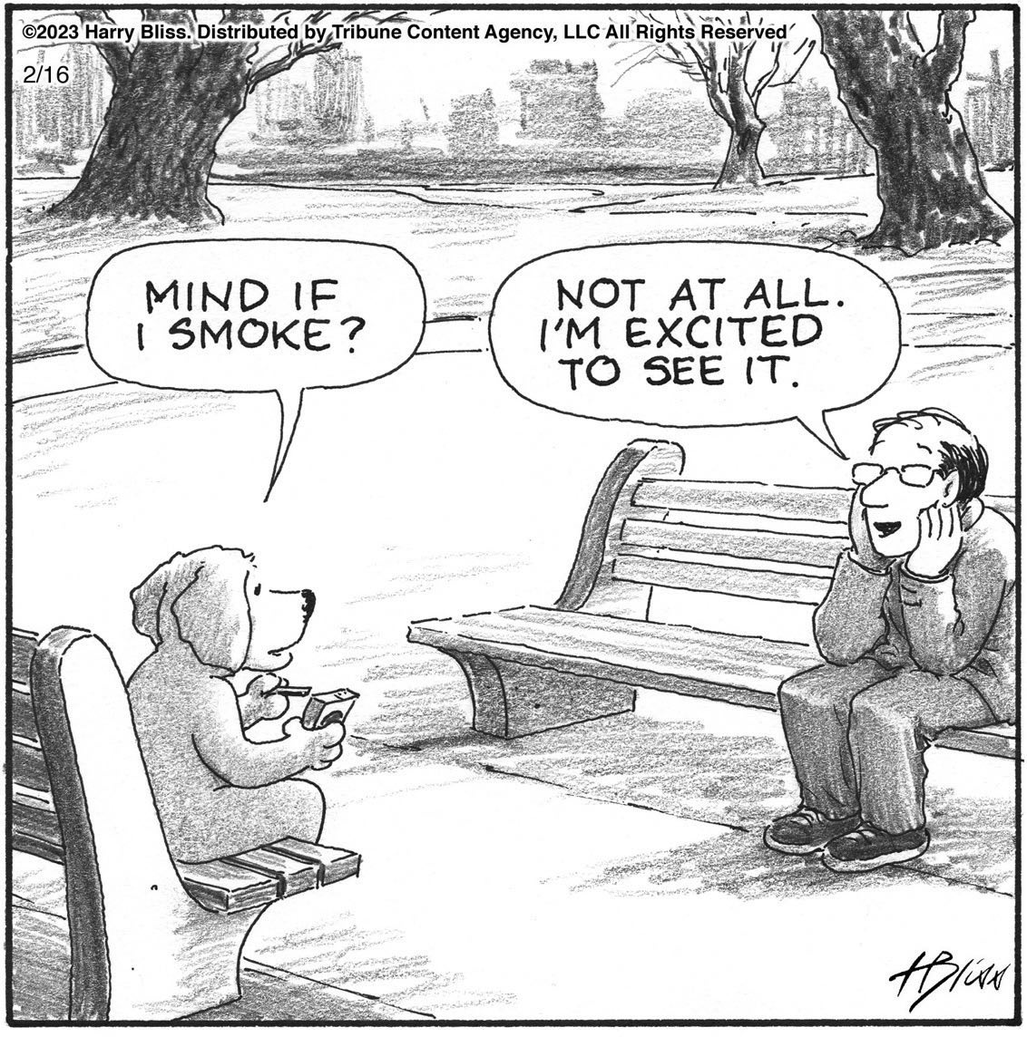 Thumbnail of p-couxsjjoe49-fd2d87c5d3a046e9 0