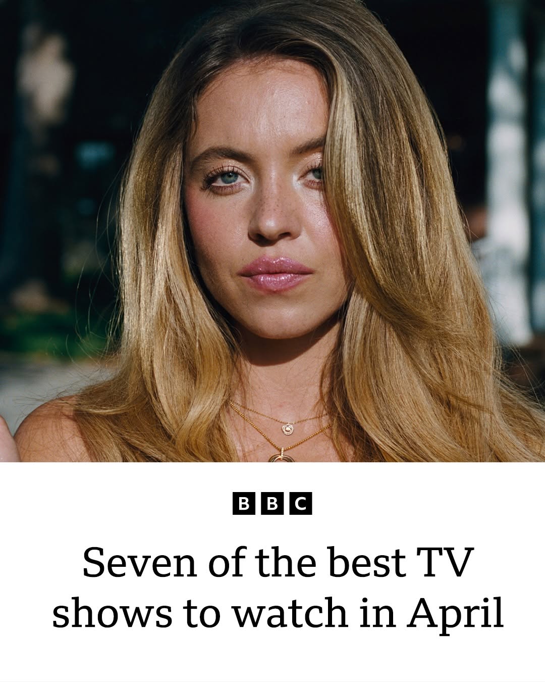 Thumbnail of www-instagram-com-p-dwwcfvkjtwc-img-index-7 0