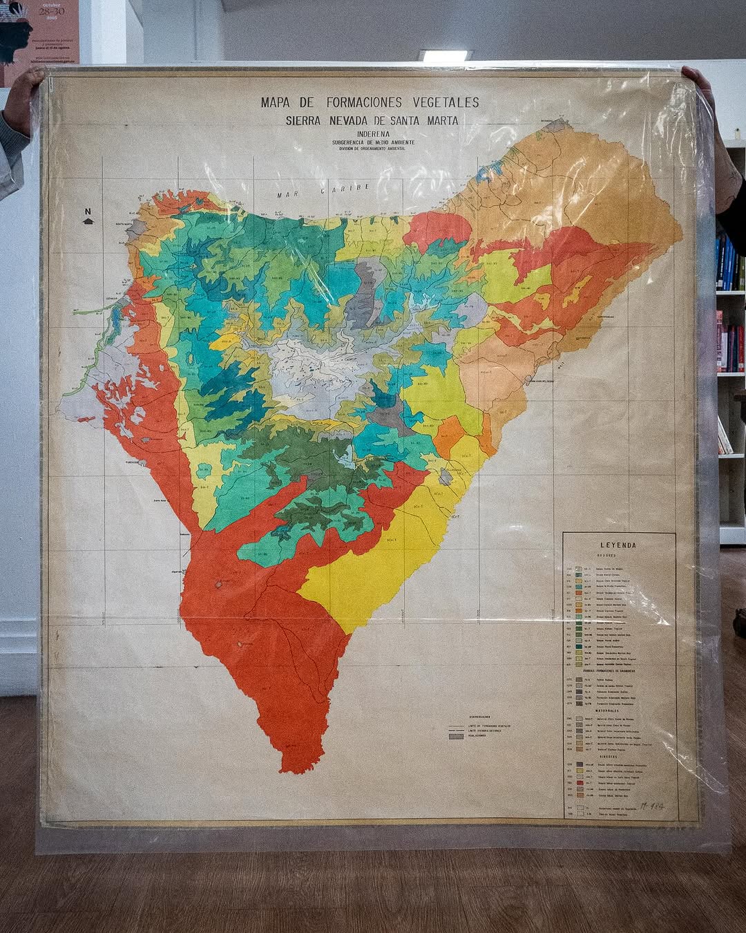 Thumbnail of www-instagram-com-p-doyorb-dsa0-img-index-1 4