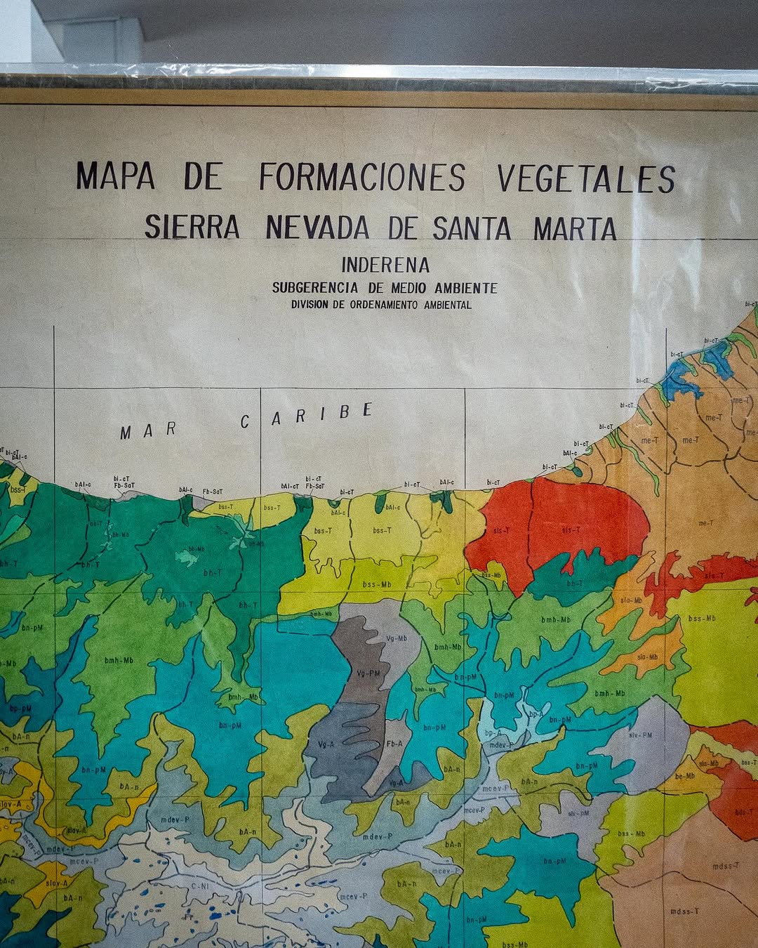 Thumbnail of www-instagram-com-p-doyorb-dsa0-img-index-1 8