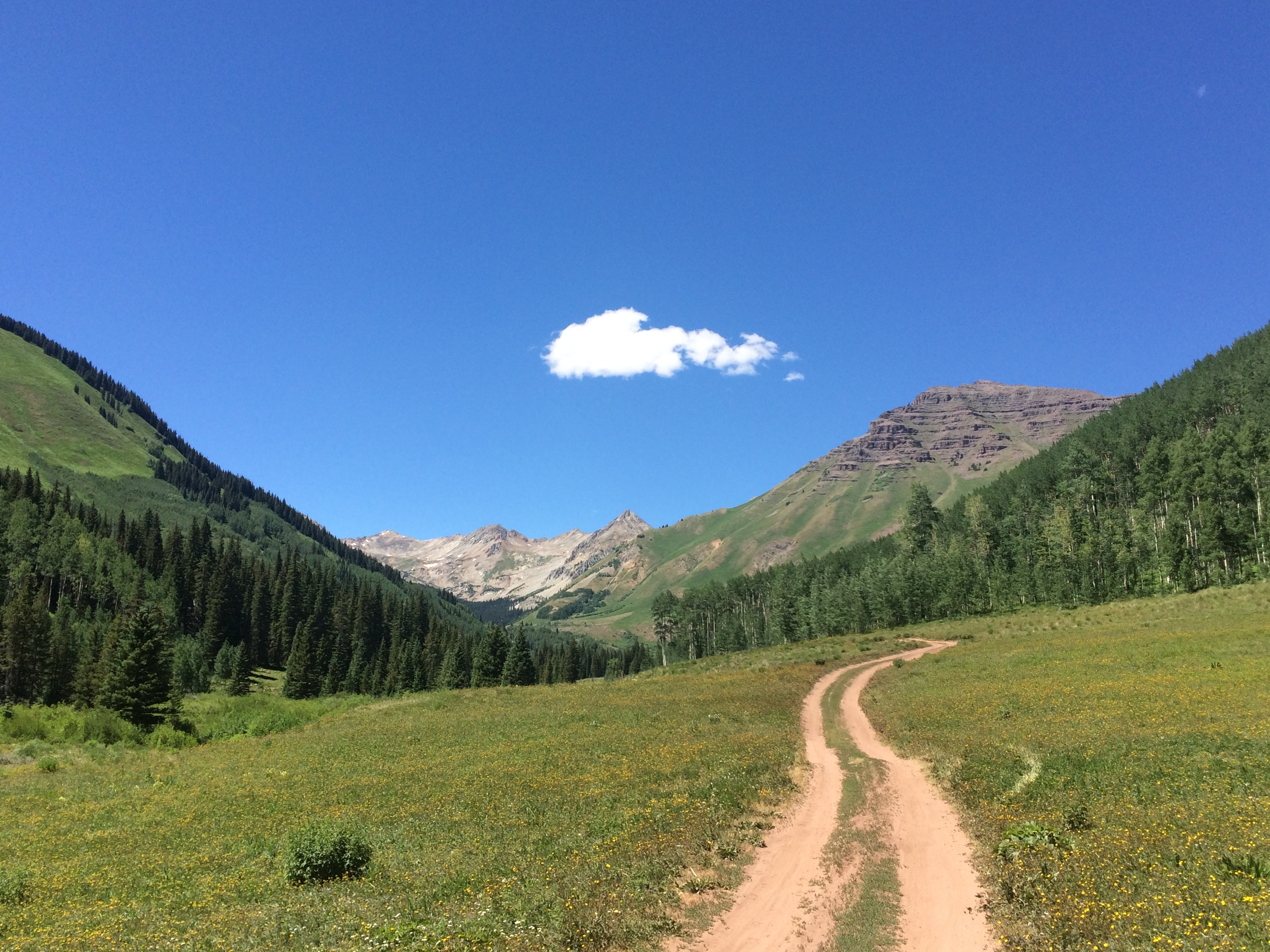 Thumbnail of scott-stillman-on-substack 0