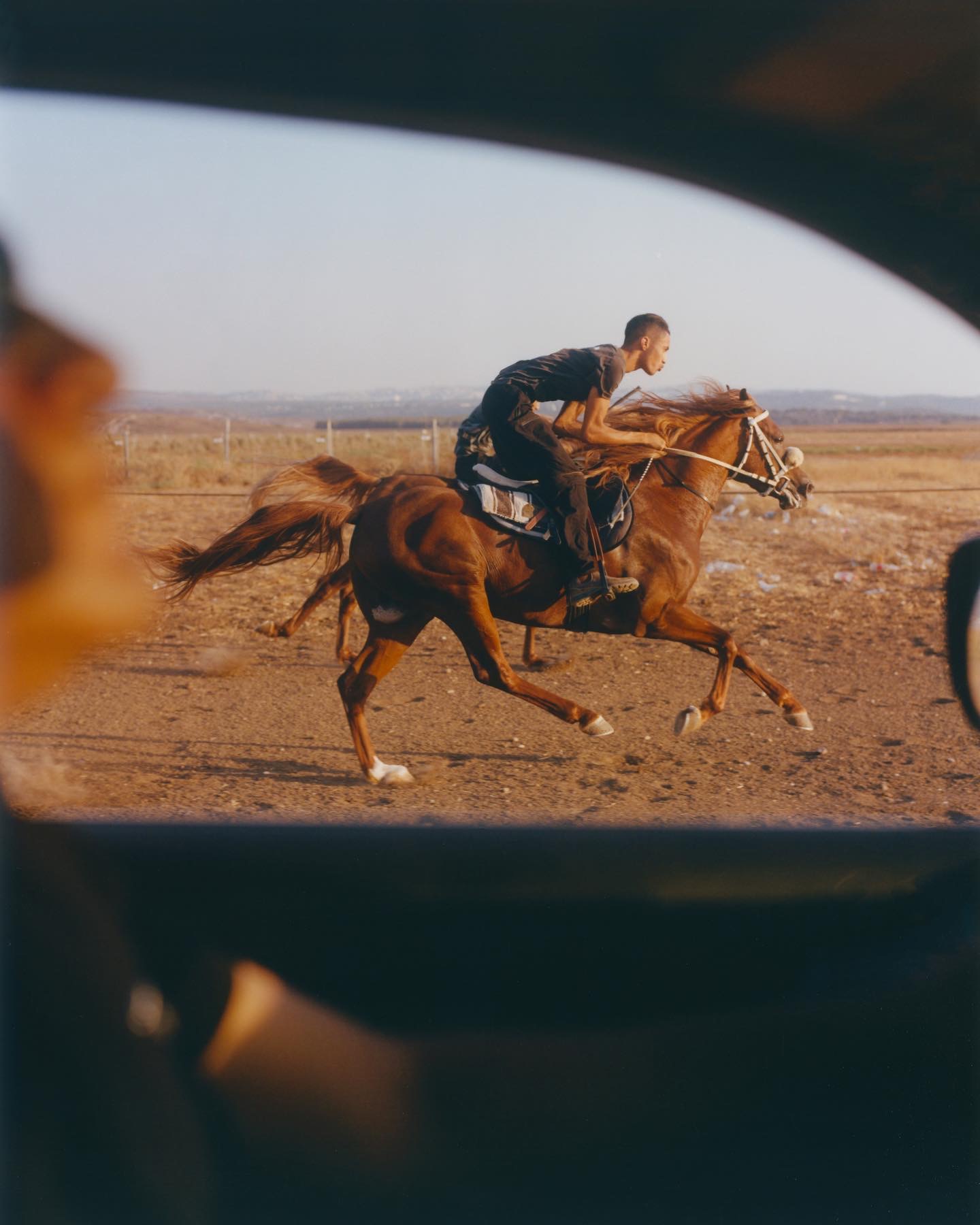 Thumbnail of antonia-macbride-on-substack-8b41 5