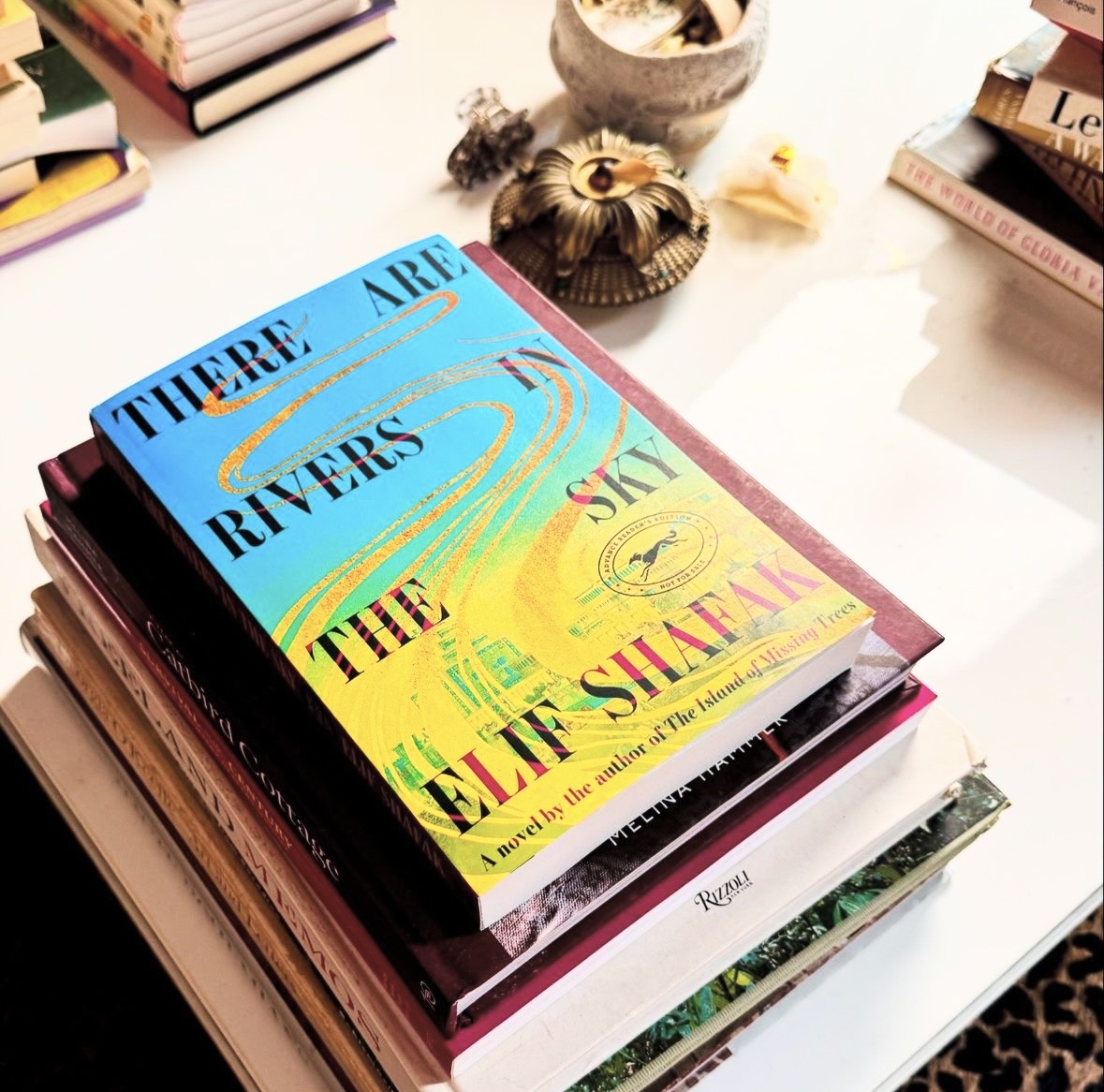 Thumbnail of elif-shafak-on-substack 0