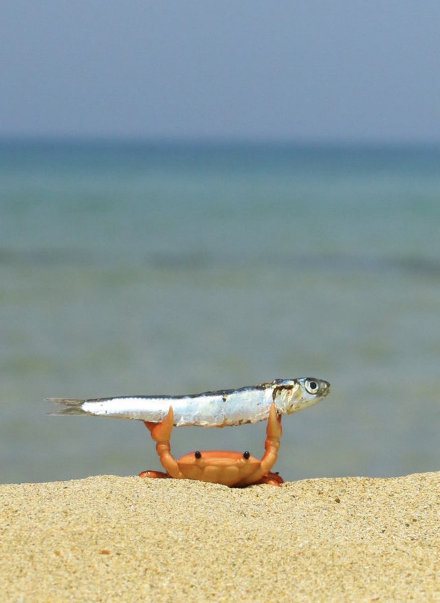 Thumbnail of bad-spit-badspit-73680de1150a40cc 0