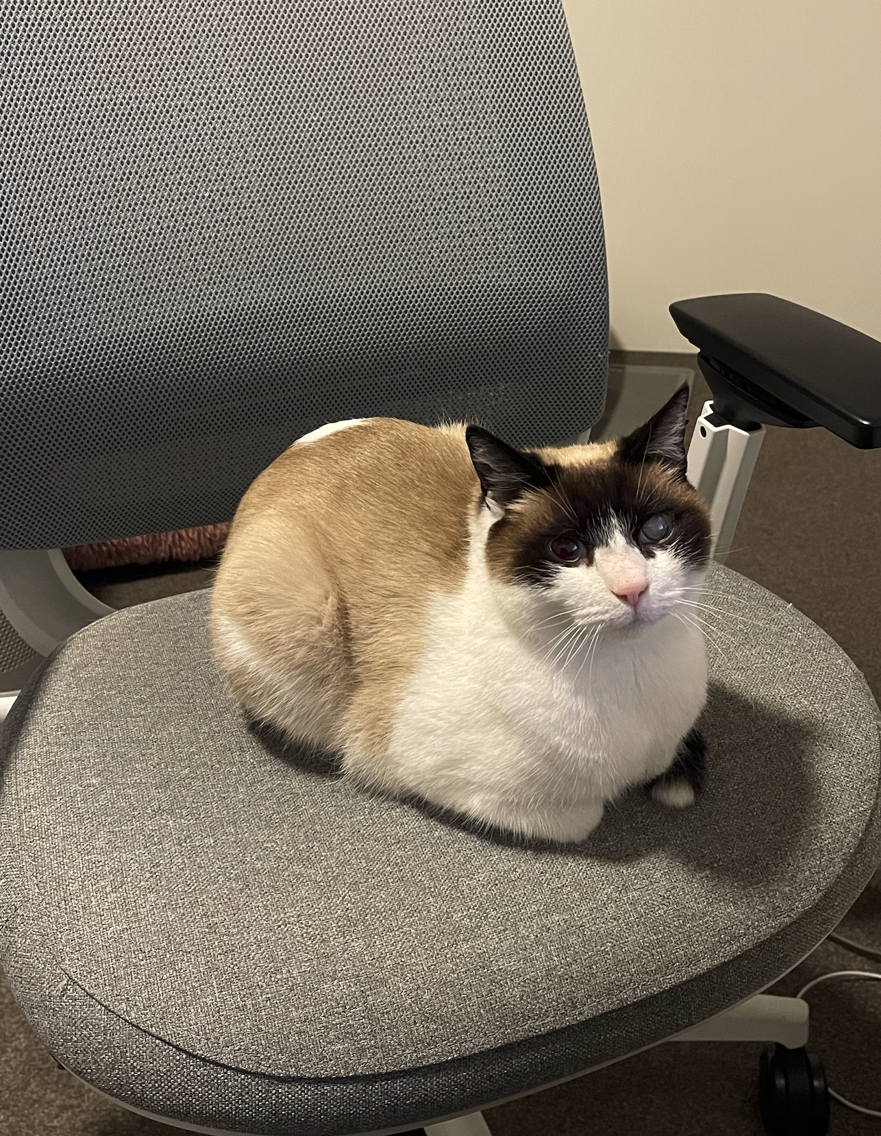 Thumbnail of emma-murphy-innercanvas 0