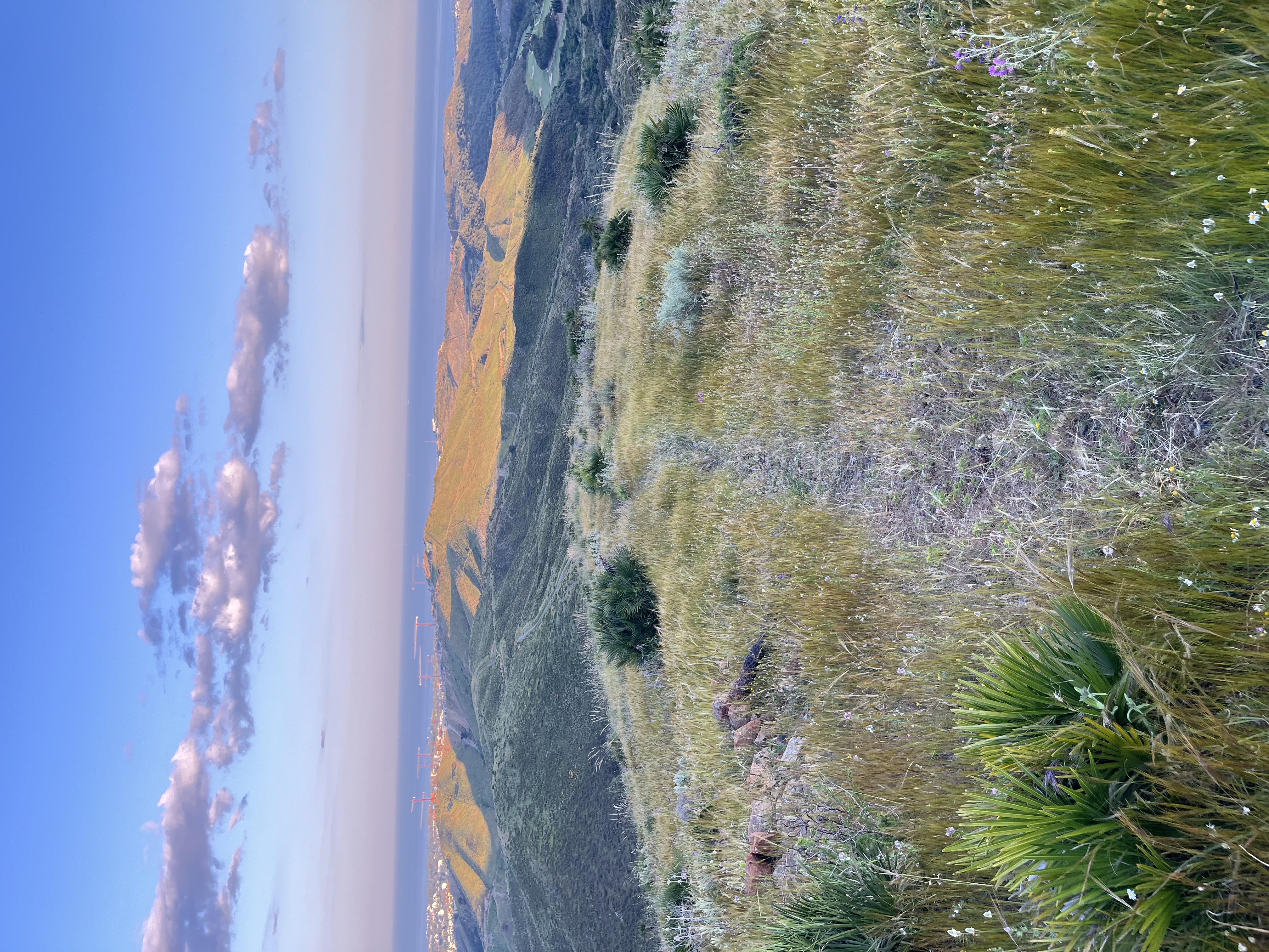 Thumbnail of anna-back-to-senses-backtosenses 0