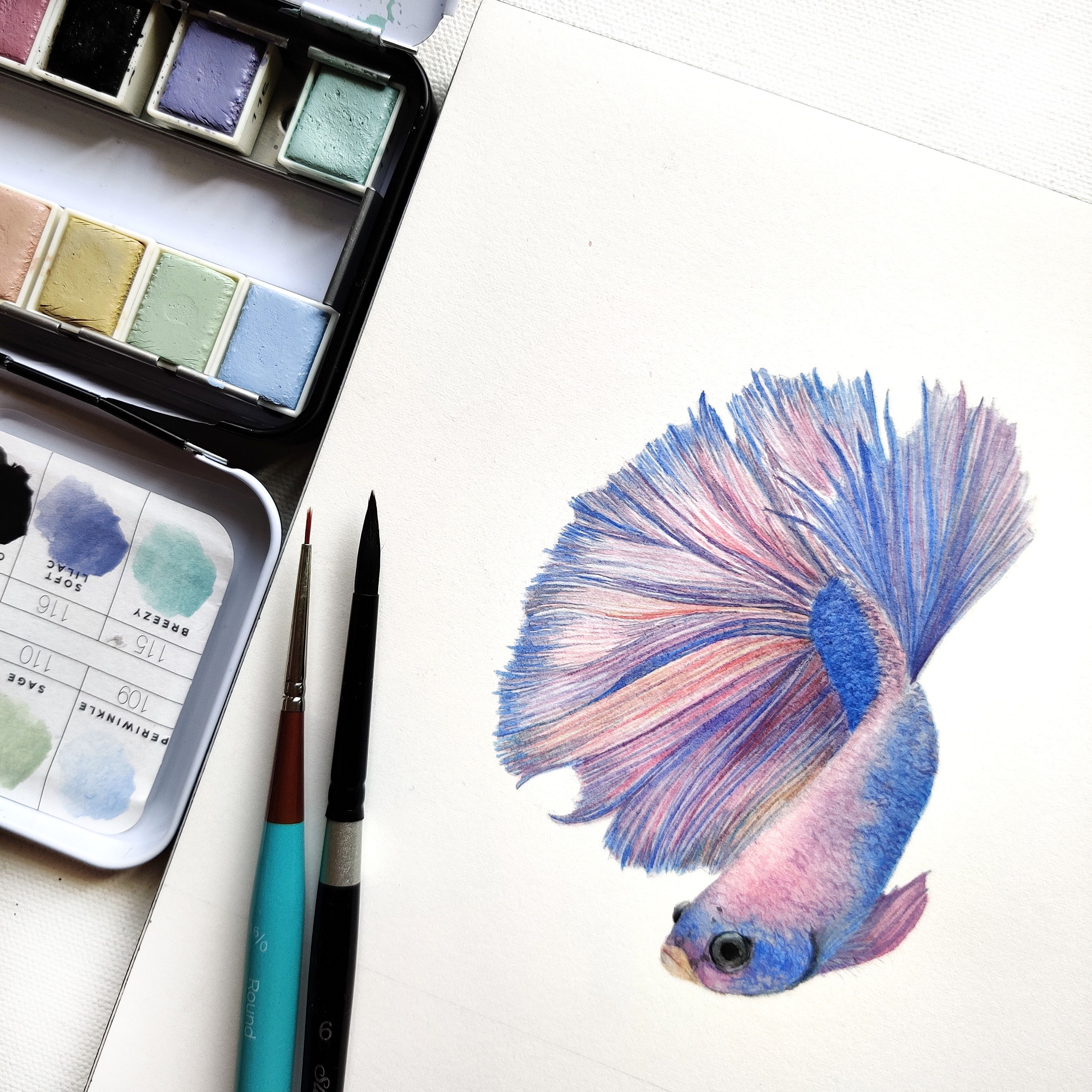 Thumbnail of manvi-semalty-manvisemalty 0