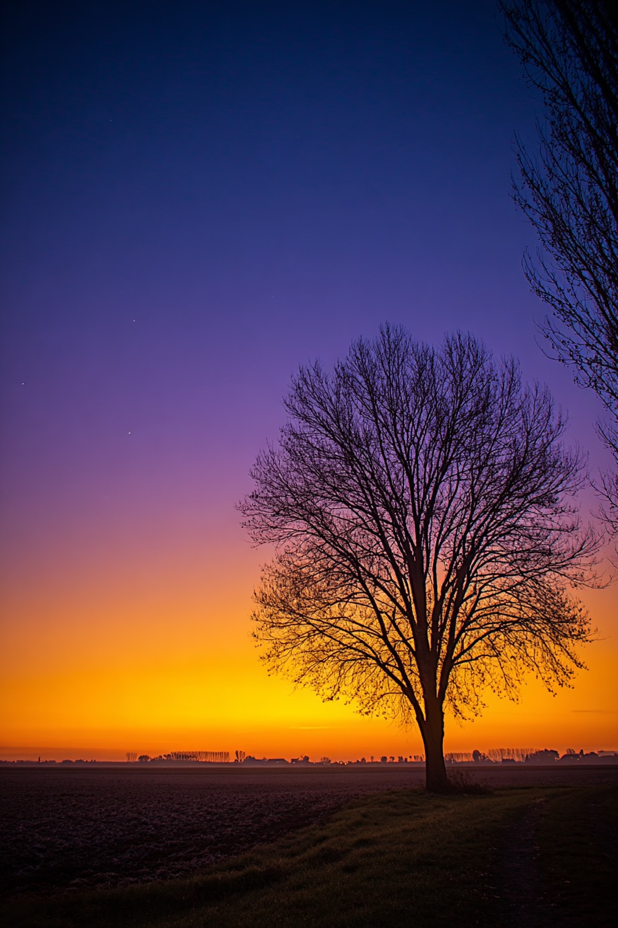 Thumbnail of pawel-bogucki-pawelbogucki-ae40d39d66a84059 0