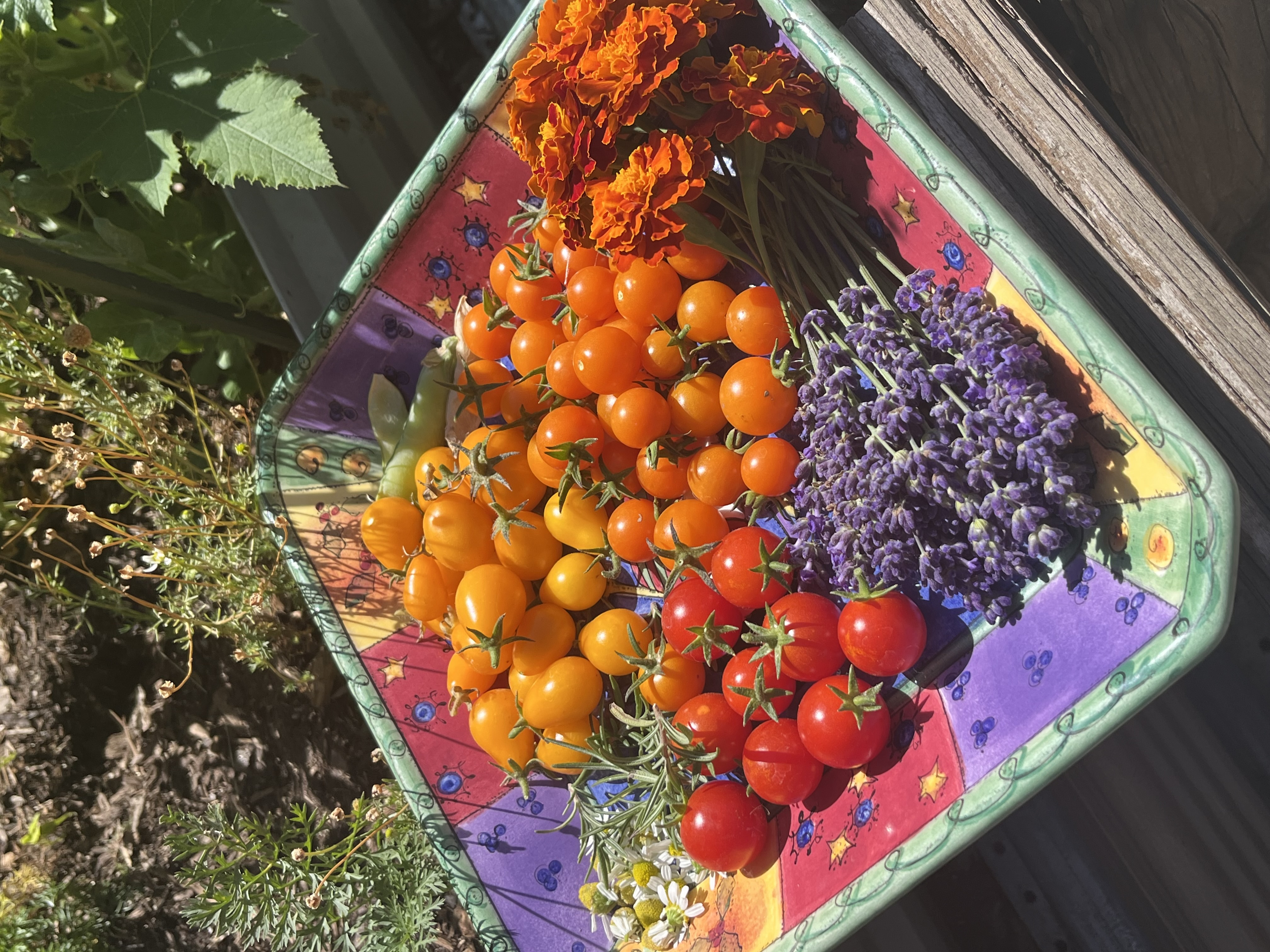 Thumbnail of danielle-uhl-danielleuhl 0