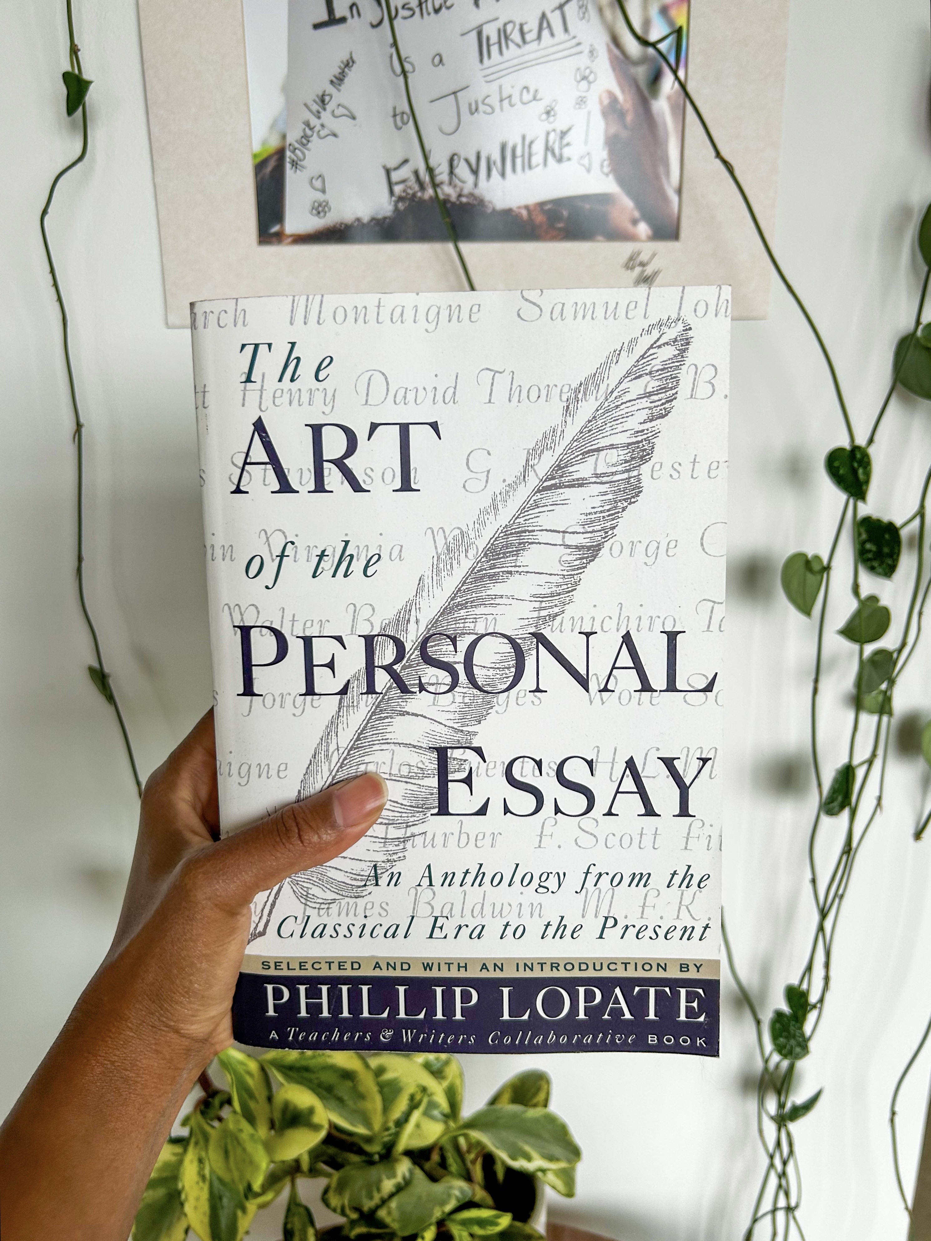 Thumbnail of tirrea-billings-tirreab 0