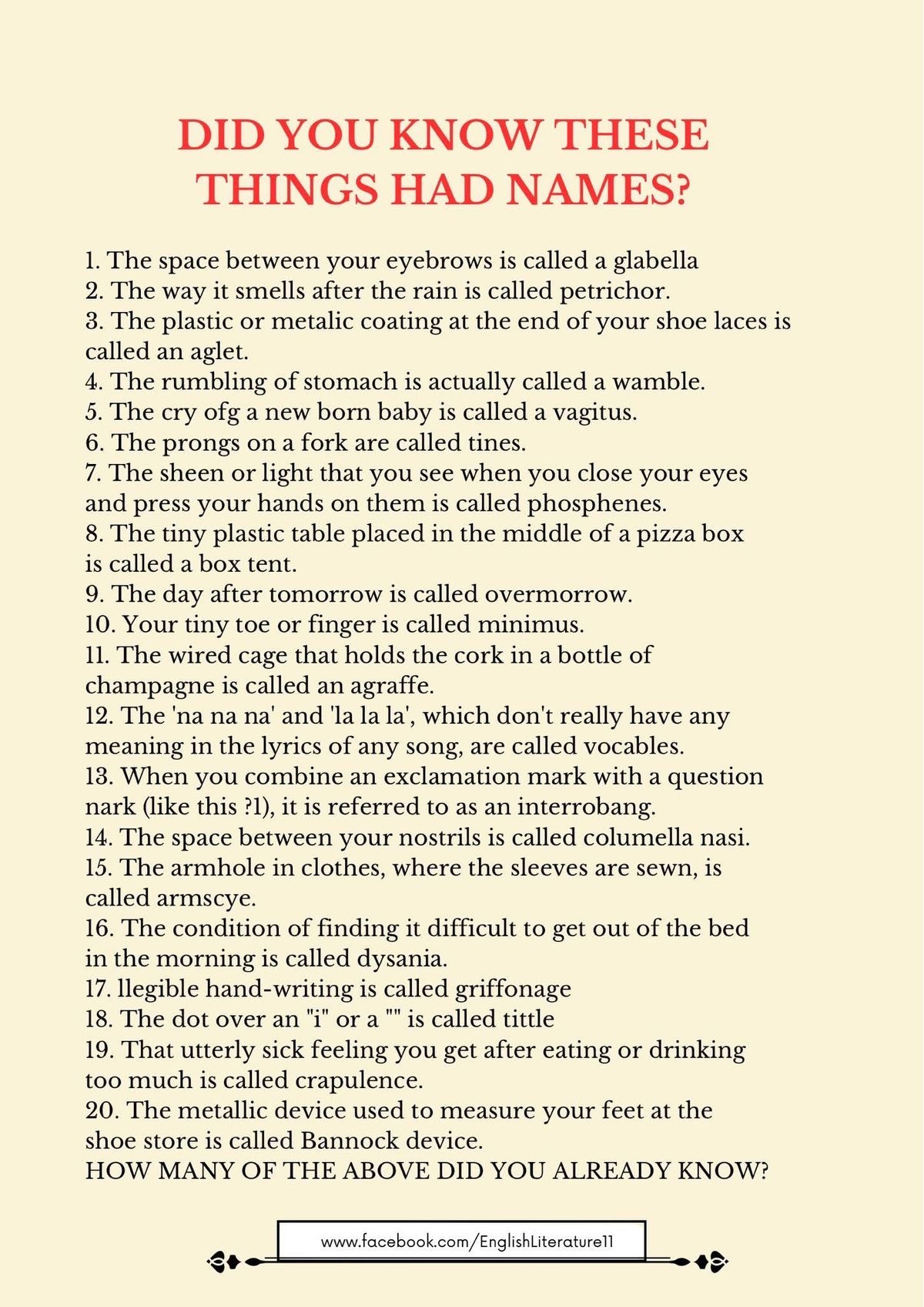 Thumbnail of noam-leon-kaestner-noamleon-c726766b13af4a23 0