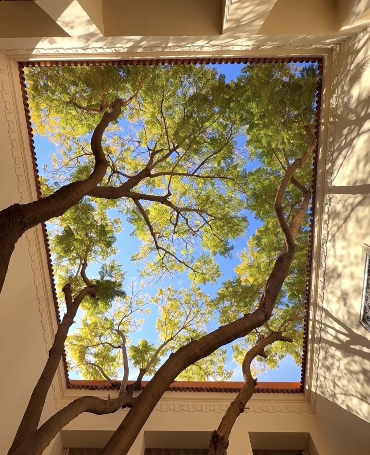 Thumbnail of threadloopfits-threadloopfits 0