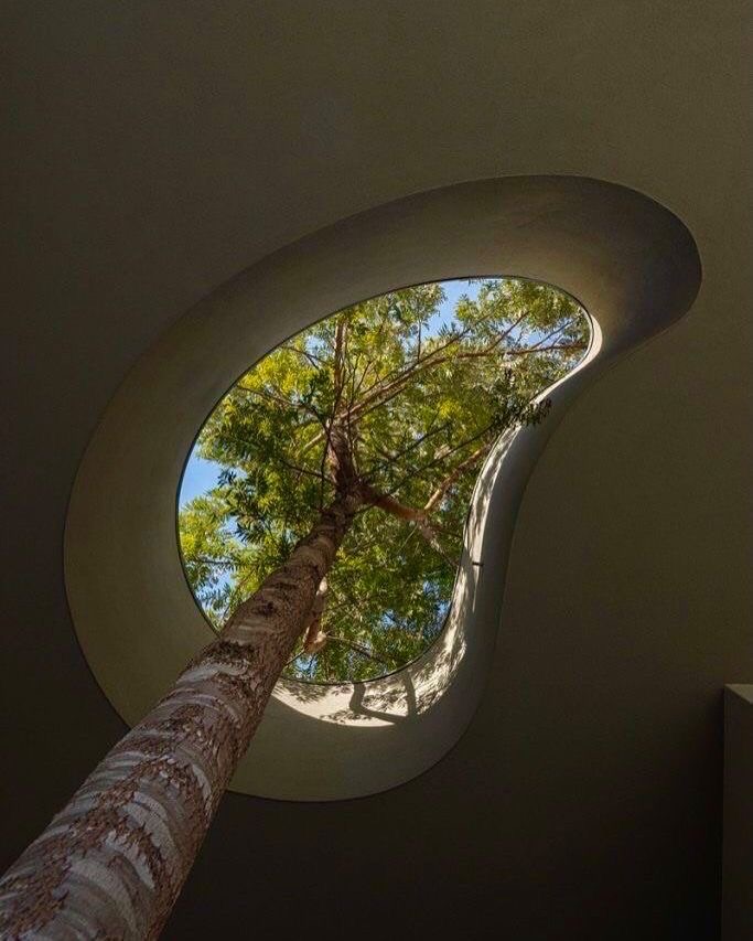 Thumbnail of threadloopfits-threadloopfits 4