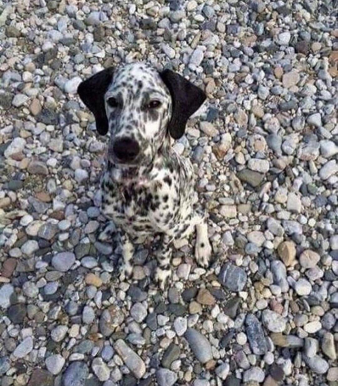 Thumbnail of behind-the-outfit-behindtheoutfit 0