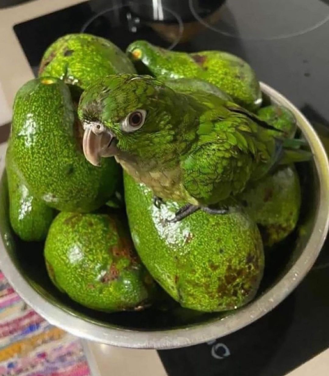 Thumbnail of behind-the-outfit-behindtheoutfit 1