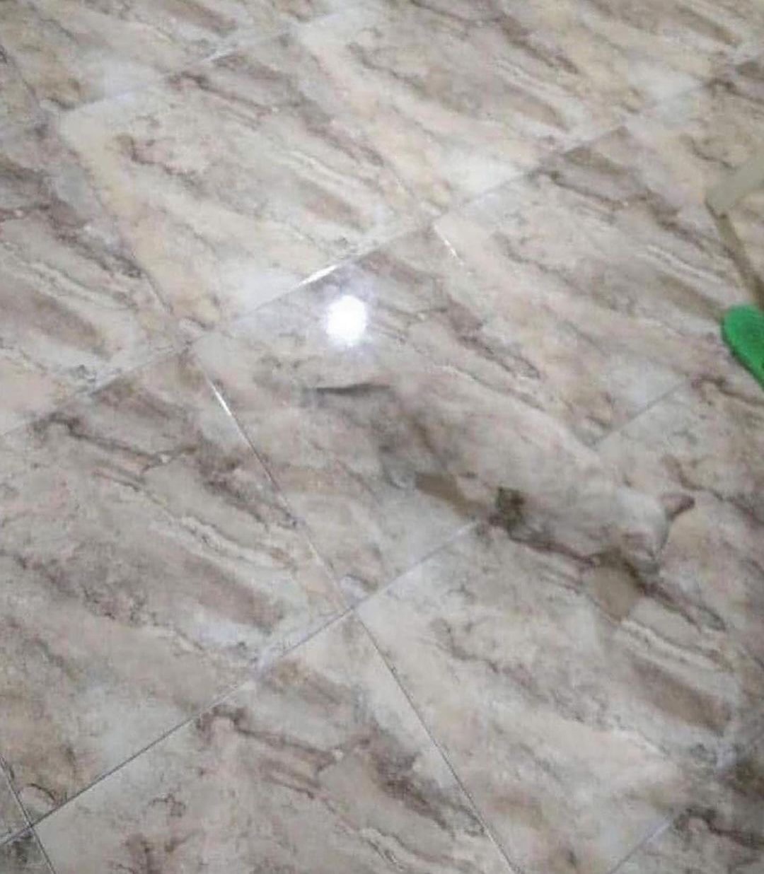 Thumbnail of behind-the-outfit-behindtheoutfit 2