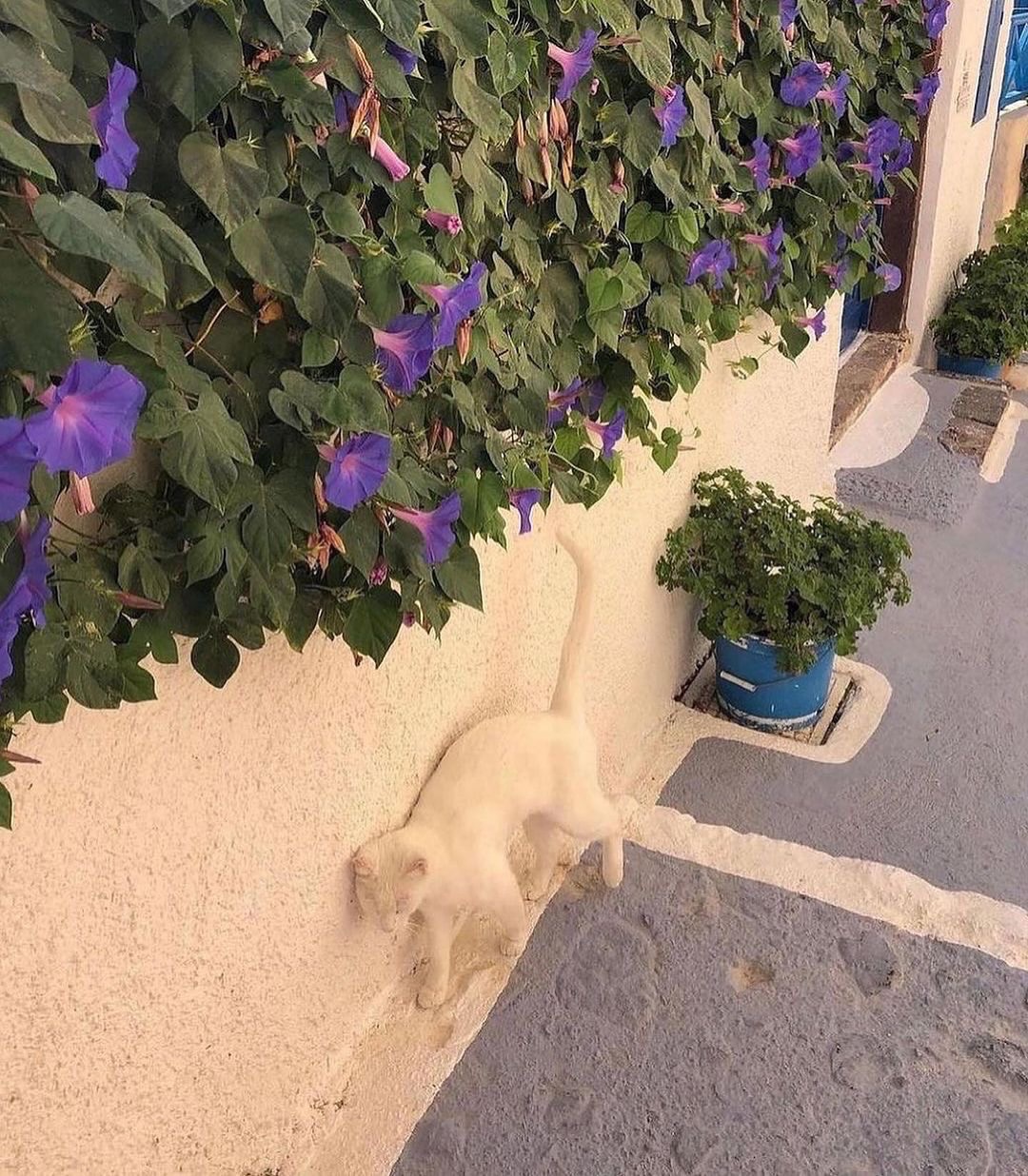 Thumbnail of behind-the-outfit-behindtheoutfit 3