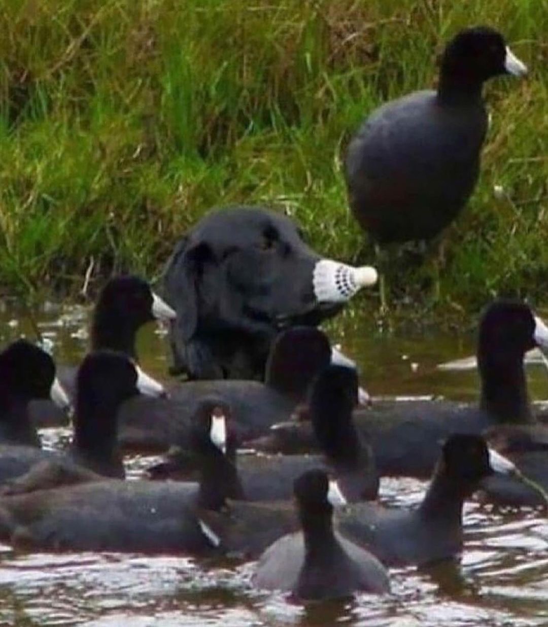 Thumbnail of behind-the-outfit-behindtheoutfit 5