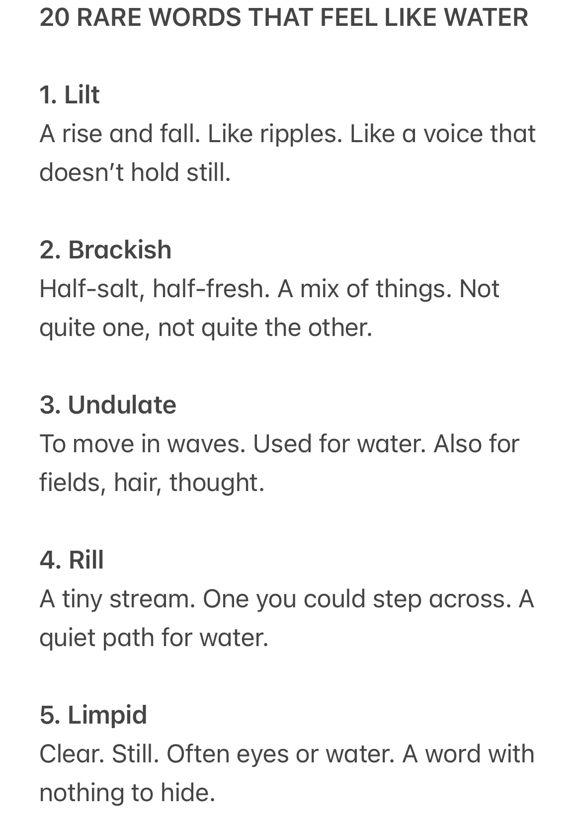 Thumbnail of noam-leon-kaestner-on-substack-f08fa3f6480141e7 0