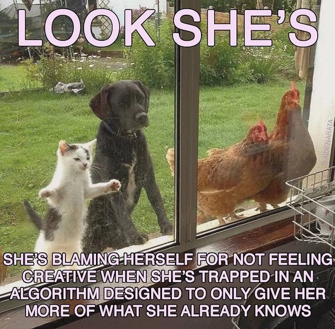 Thumbnail of twitter-com-jalexandertan-status-1564677030884495360