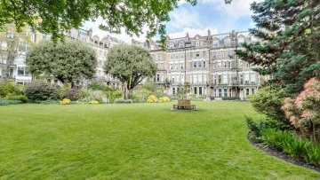 Thumbnail of httpstwittercomdevonzuegelstatus1563323239237320709