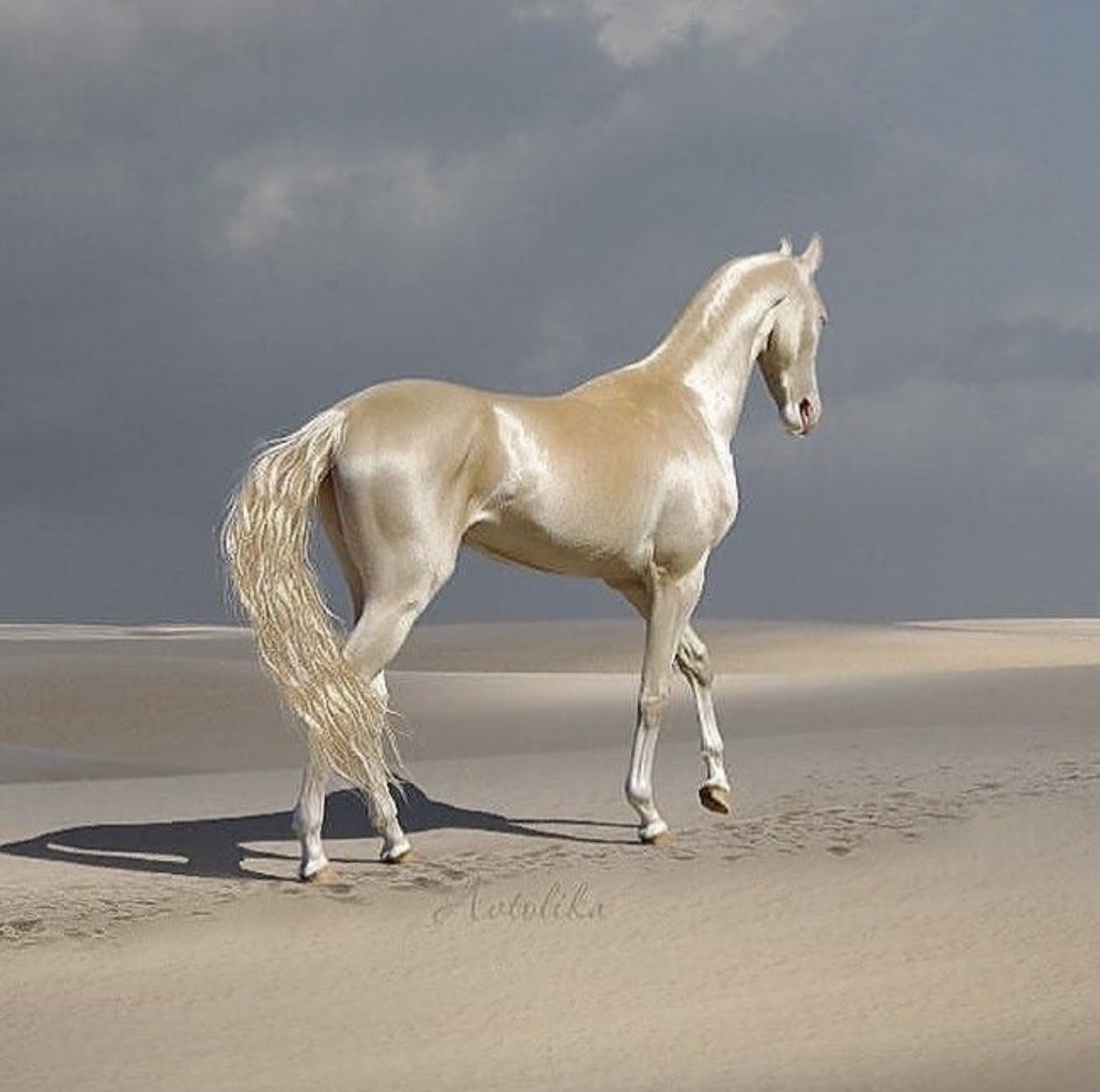 Thumbnail of httpstwittercomchelseahodsonstatus1388605503685734404