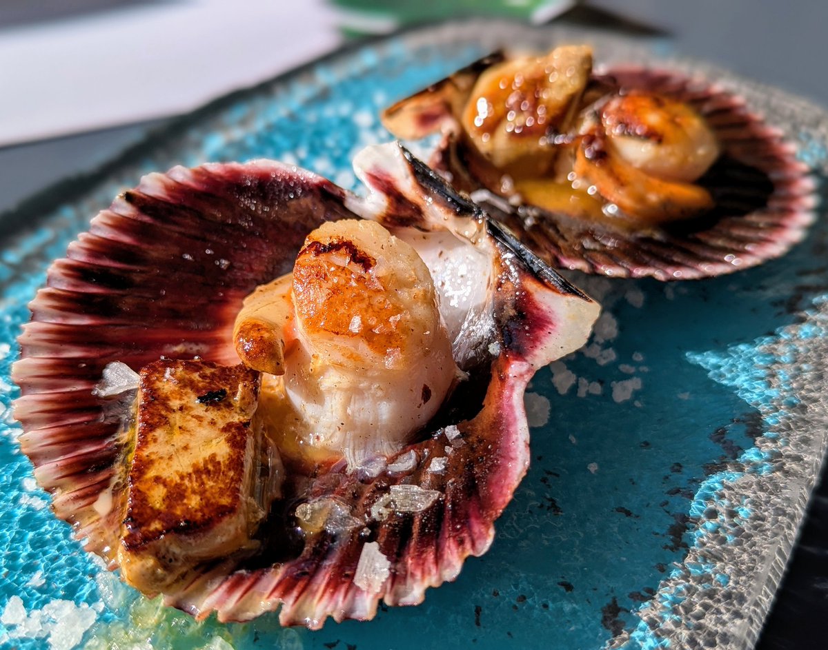 Thumbnail of www-x-com-fmendiguren-status-1890053004294046038