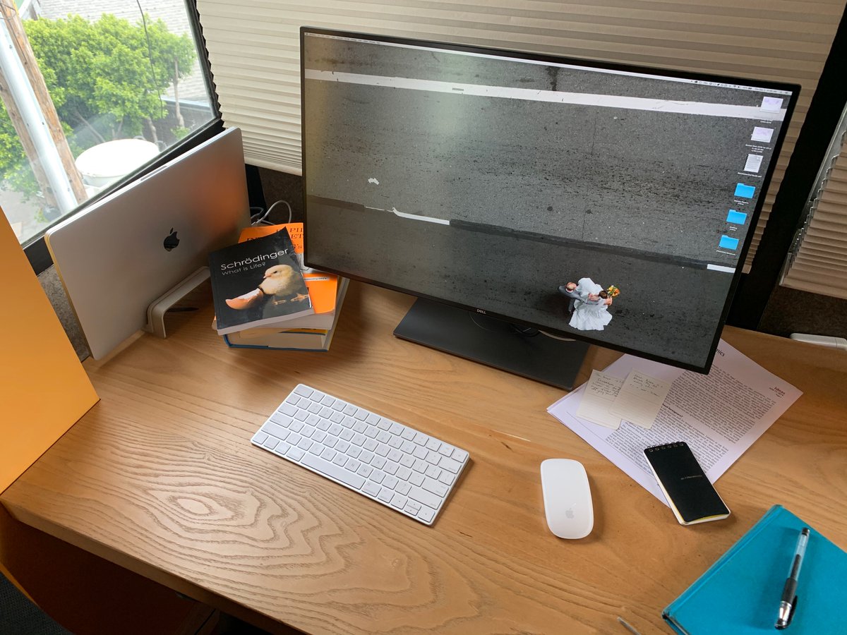 Thumbnail of www-x-com-andy-matuschak-status-1202663202997170176-13e99928fb474f47