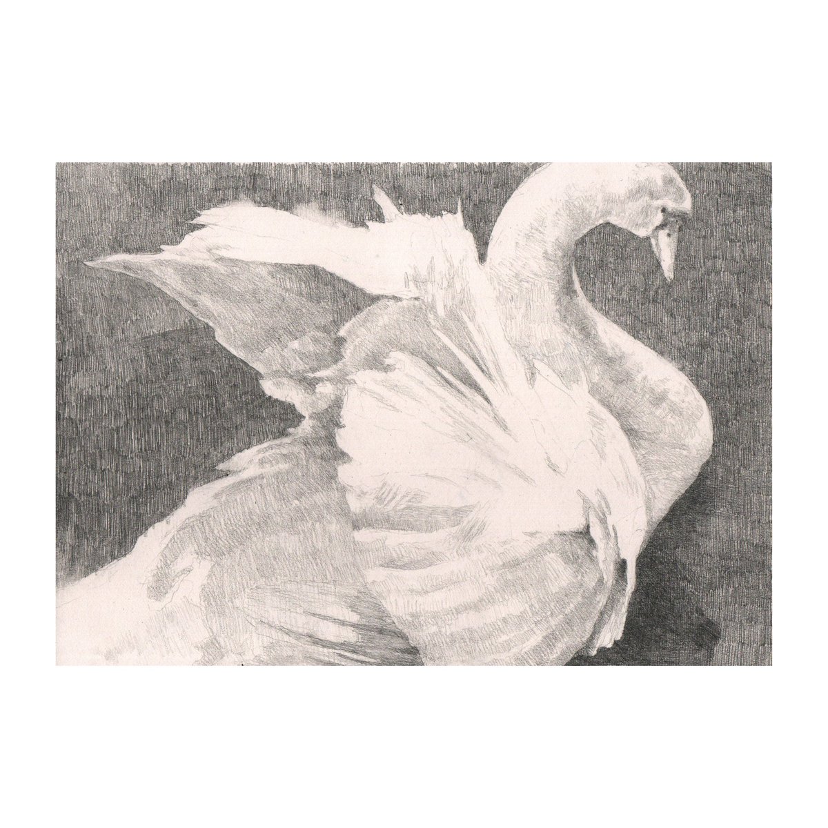 Thumbnail of www-x-com-underwaterlad-status-1781813729115378167