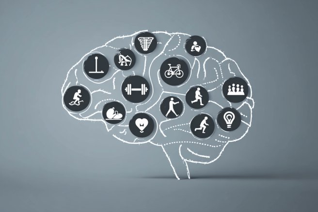 Thumbnail of www-x-com-neurosciencenew-status-1942670804141166596