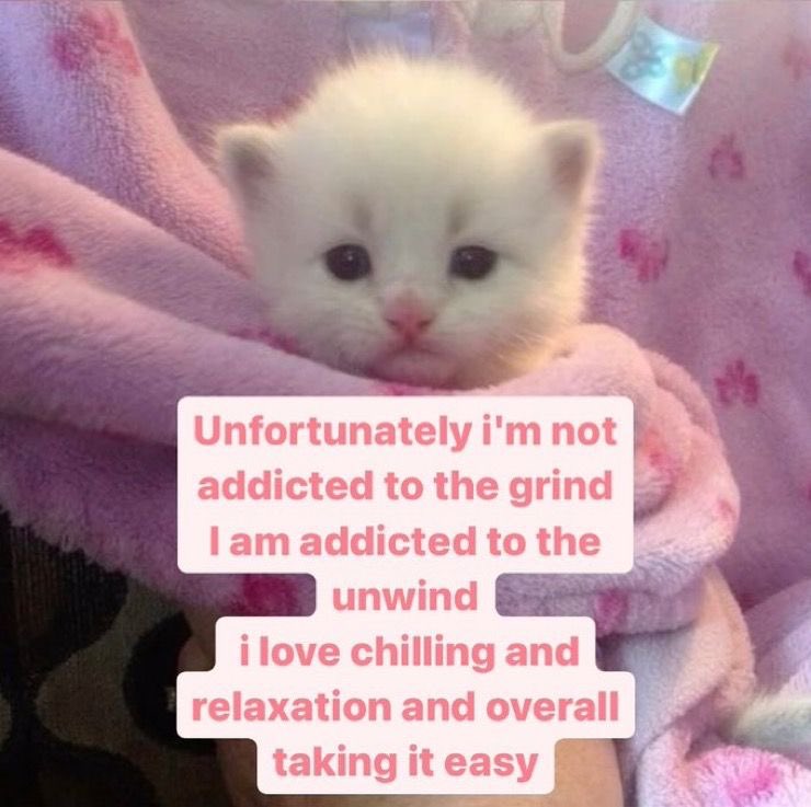 Thumbnail of www-x-com-whotfisjovana-status-1949142172655329424