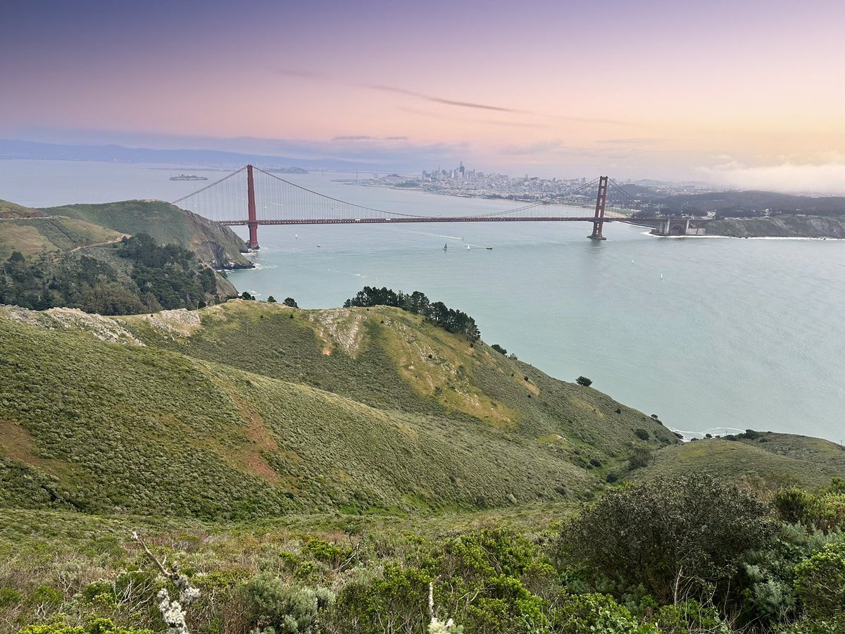 Thumbnail of www-x-com-elaifresh-status-1903573361856598471-242b2d30419a4048