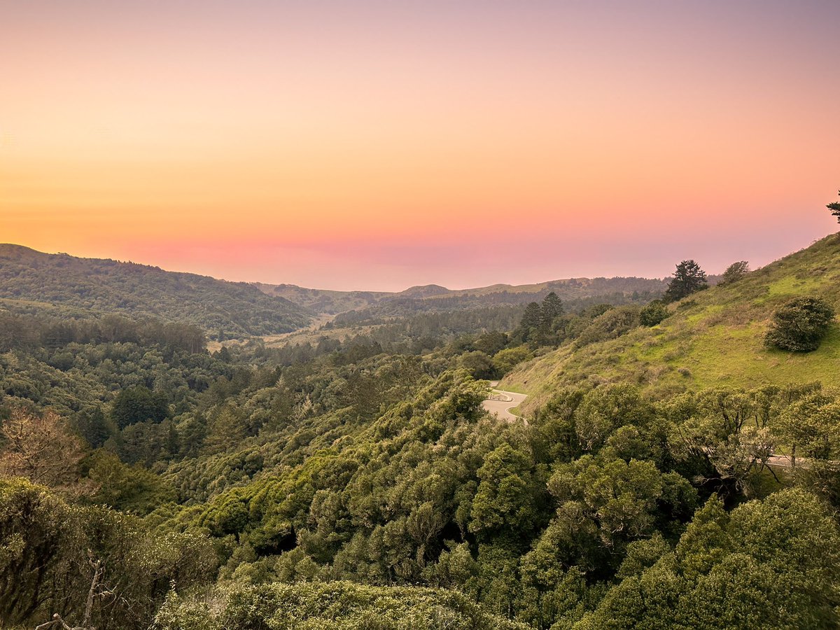 Thumbnail of www-x-com-elaifresh-status-1903573361856598471-242b2d30419a4048