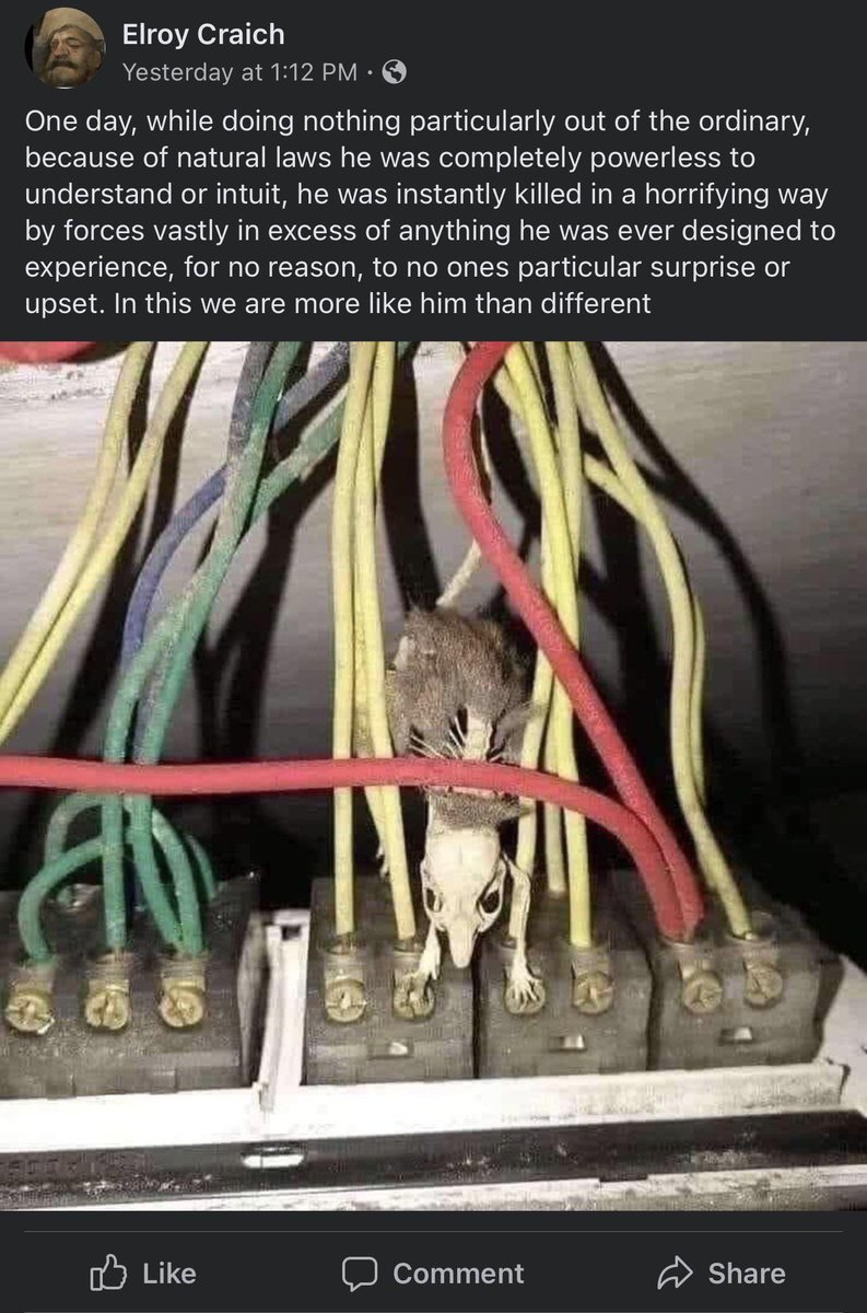 Thumbnail of www-x-com-visakanv-status-1678745111411212290-295911d3d7d84698