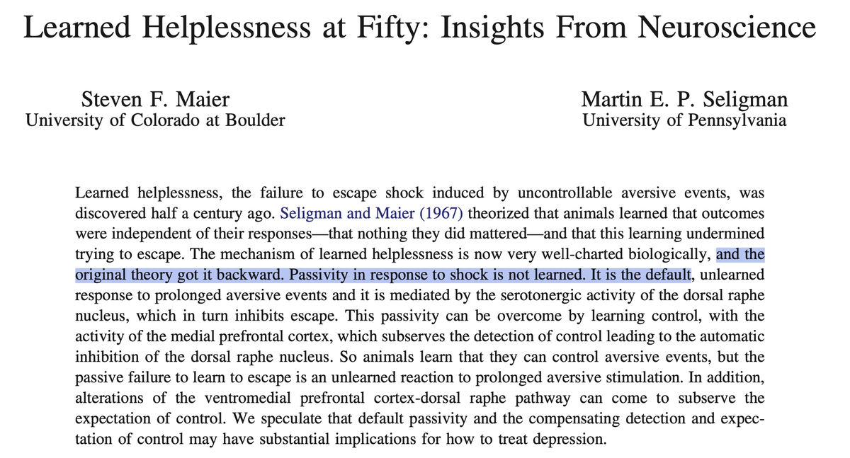 Thumbnail of www-x-com-aestheticprimal-status-1933648508059361492-363175c7d32245cb