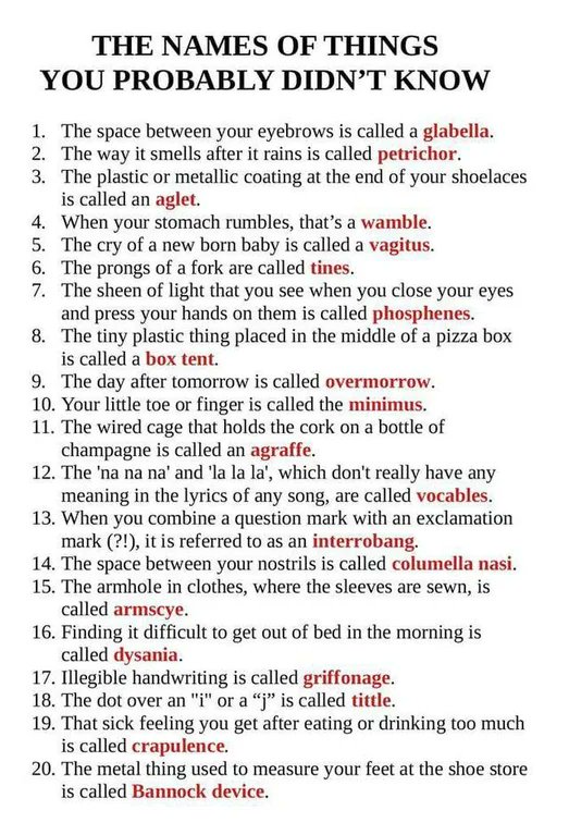 Thumbnail of www-x-com-rainmaker1973-status-1820093143229870185