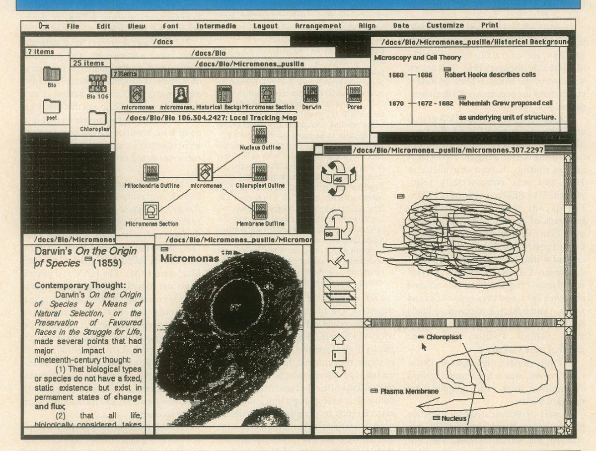 Thumbnail of www-x-com-sanedotfyi-status-1613186523897159680